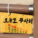 주문진회집
