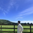 금호목장 이미지