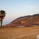 함덕 푸른밤 이미지