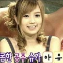 슈가허니 이미지