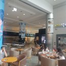 델리지아 이미지