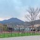 샤갈스파펜션 이미지