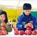 달콤한 사과이야기 이미지