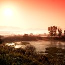 우포의 숲속 이미지