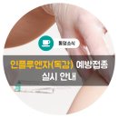 김태진정형외과의원 | 엣취! 하지마요~ 통영 인플루엔자(독감) 예방접종 실시 안내