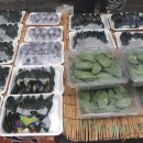 5일시장(어물전) 이미지