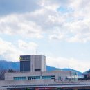 느티나무주유소 이미지