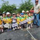 진안어린이집 이미지