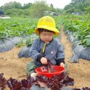 단아농장 이미지