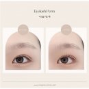 라베느래쉬 | 강남속눈썹 예쁘게 잘 되는 라베느래쉬 후기