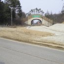 삽당령 정상 이미지