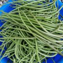 나무민박 이미지