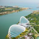 가든 오브 클라우드 이미지