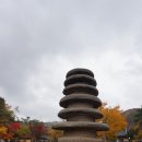남도먹거리