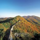 ‘억새밭으로 떠나는 가을여행’ 이미지