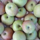 광섭농장 이미지