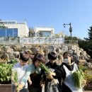 도시농업센터 이미지