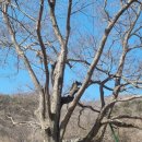 당산할머니경로당 이미지