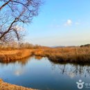안산 어린이 교통안전체험장 이미지