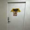 헤어보떼 이미지