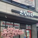 소림마라충주 | 충주 소림마라 / 용산동 마라탕, 마라샹궈 내돈내산 후기