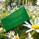 꿈꾸는 의자 이미지