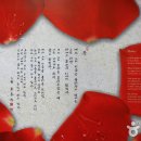 김춘수유품전시관 Daum카페