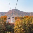 쏠로 7080 라이브 이미지