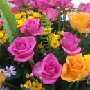 한성중학교 이미지