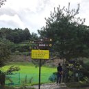 에버힐 | 골린이의 취미골프 - 320m 보너스 홀이 있는 청주 파3골프장 에버힐GC 라운딩 후기