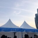 서강피앤디