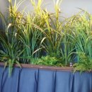 사가정클라쓰 이미지