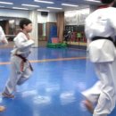 경희대학동태권도 이미지