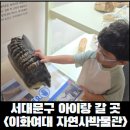 이화상점 학생문화관점 | 박물관] 비올때 아이랑 같이 가기 좋은 이화여대 자연사박물관 월요일 후기, 월요일 아이랑 박물관 후기