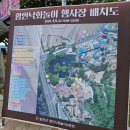 함안 낙화놀이 | 밤을 수놓은 불꽃들의 향연, 함안 낙화 놀이 후기 및 꿀팁 예약/주차/추천장소/준비물