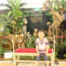 가족뮤지컬 정글북 이미지