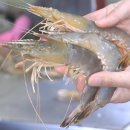 자연나라 이미지