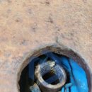 장수한우유전자뱅크 이미지