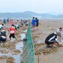 월하성어촌체험휴양마을 이미지