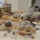 어썸바이츠(Awesome Bites) 이미지