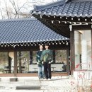 김준식농장 이미지