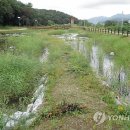 경안천 초부리 이미지