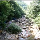 대운산 내원암 계곡 이미지