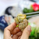 해변회센타 이미지