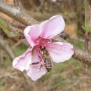 강릉제일고등학교 이미지