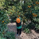 연정농장 이미지