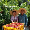 농암로(예안면) 이미지