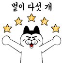 엉뚱마켓