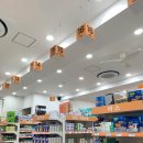 마포제일큰약국 이미지