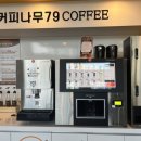 커피나무 79